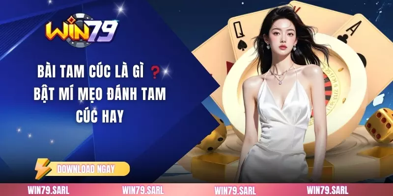 Bài Tam Cúc Là Gì ❓ Bật Mí Mẹo Đánh Tam Cúc Hay