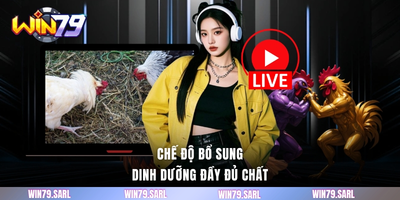 Chế độ bổ sung dinh dưỡng đầy đủ chất