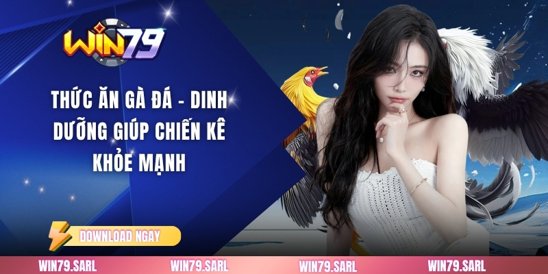 Thức ăn gà đá - Dinh Dưỡng Giúp Chiến Kê Khỏe Mạnh