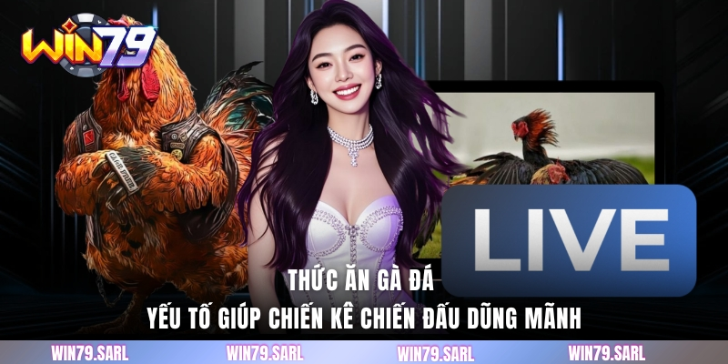 Thức ăn gà đá - Yếu tố giúp chiến kê chiến đấu dũng mãnh
